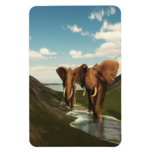 Elephant Magneet