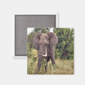 Elephant Magneet (Voorkant / Achterkant)