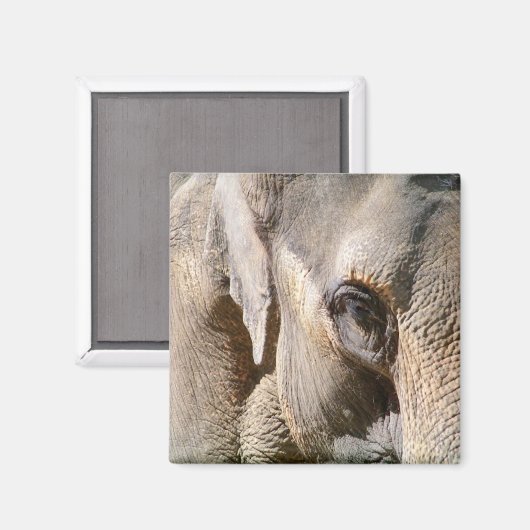 ELEPHANT MAGNEET (Voorkant / Achterkant)