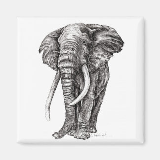 Elephant Magneet