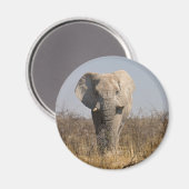 Elephant Magneet (Voorkant / Achterkant)