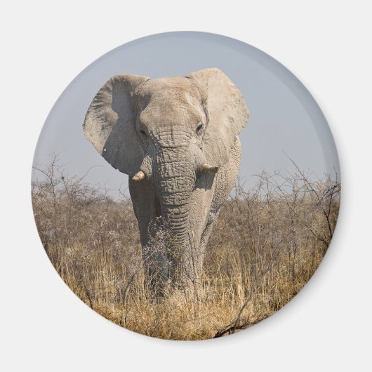 Elephant Magneet (Voorkant)