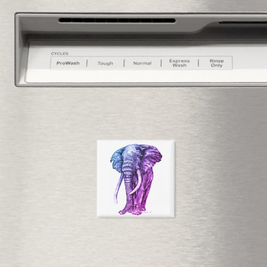 Elephant Magneet (Insitu (Vaatwasser))
