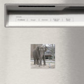 ELEPHANT magnet (Insitu (Vaatwasser))