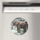 Elephant Magnet (Insitu (Vaatwasser))