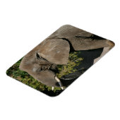 Elephant Magnet Magneet (Linkerzijde)