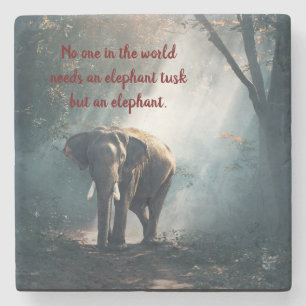 Elephant Message Stone Onderzetter