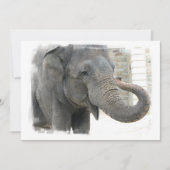 Elephant met Curled Trunk Invitation Kaart (Voorkant)