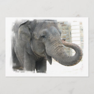 Elephant met Curled Trunk Invitation Kaart