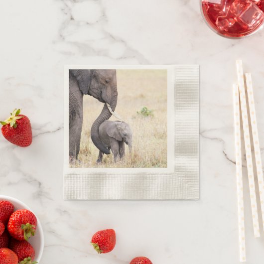 Elephant met foto van baby servet (Insitu)