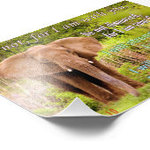 Elephant met Isaiah 41:10 Foto Afdruk (Hoek)