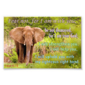 Elephant met Isaiah 41:10 Foto Afdruk (Voorkant)