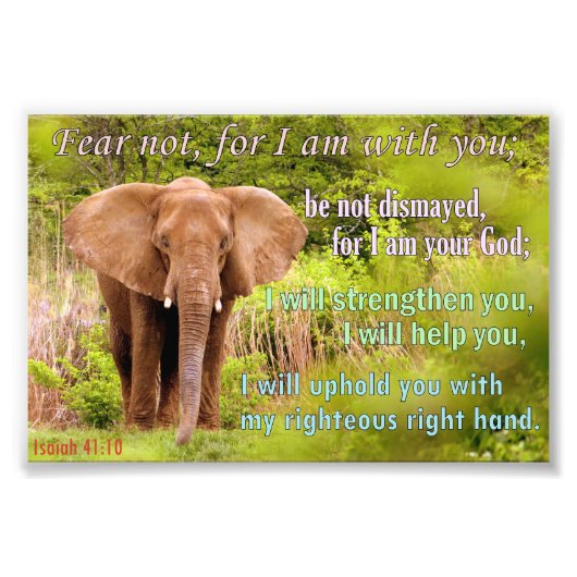 Elephant met Isaiah 41:10 Foto Afdruk (Voorkant)