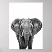Elephant Modern Black White Poster (Voorkant)