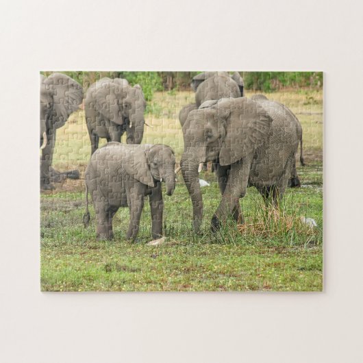 Elephant Moeder en Baby Animal Jigzaag Puzzle Legpuzzel (Horizontaal)