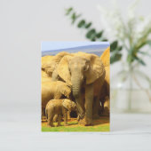 Elephant moeder en kalf Briefkaart (Staand voorkant)