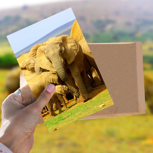 Elephant moeder en kalf Briefkaart