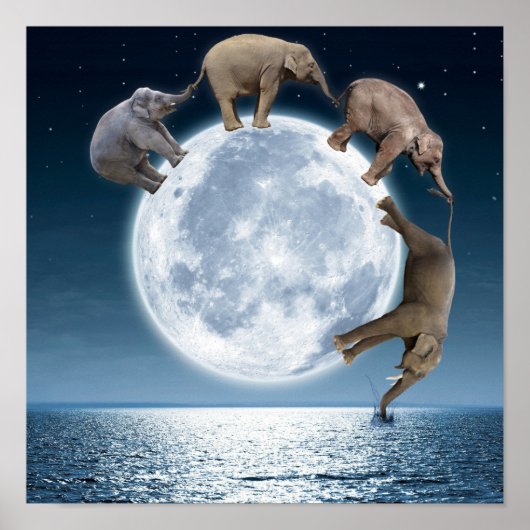 Elephant Moon Fantasy Poster (Voorkant)