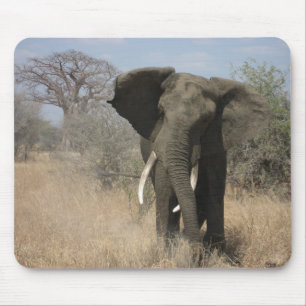 Elephant Mousepad Muismat