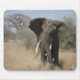 Elephant Mousepad Muismat
