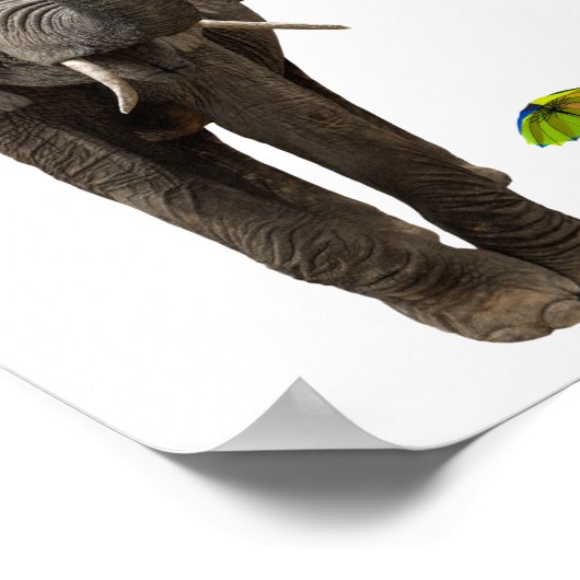 Elephant & muis poster (Hoek)