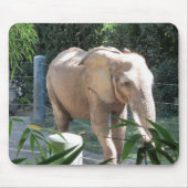 Elephant Muismat (Voorkant)