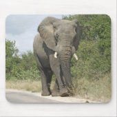 Elephant Muismat (Voorkant)