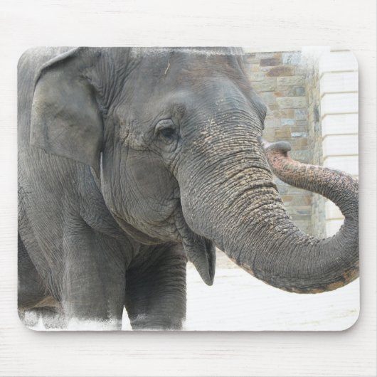 Elephant Muismat (Voorkant)