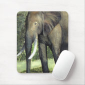 Elephant Muismat (Met muis)