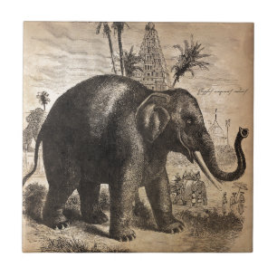 Elephant Mural Tegeltje