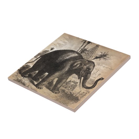  Elephant Mural Tegeltje (Zijkant)