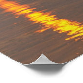 Elephant, Nationaal Park Chitwan, Nepal Poster (Hoek)