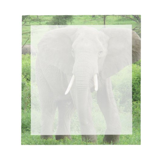 Elephant Near Ndutu Notitieblok (Voorkant)