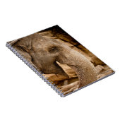 ELEPHANT NOTITIEBOEK (Rechterzijde)