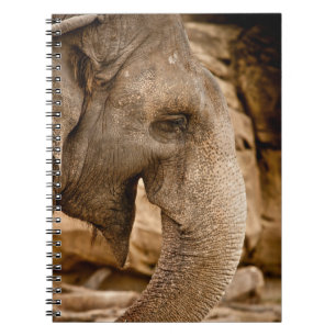 ELEPHANT NOTITIEBOEK