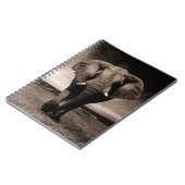 Elephant Notitieboek (Linkerzijde)