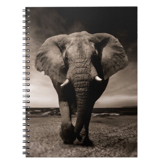 Elephant Notitieboek (Voorkant)