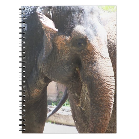 Elephant Notitieboek (Voorkant)