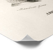 Elephant oor (Caladium bicolor) Poster (Hoek)