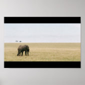 Elephant op de Mara Poster (Voorkant)