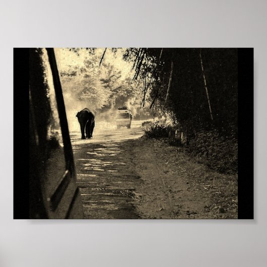 Elephant op een rol poster (Voorkant)