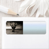 Elephant op Run Etiket (Insitu)