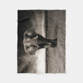 Elephant op Run Fleece Deken (Voorkant)