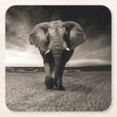 Elephant op Run Kartonnen Onderzetters (Voorkant)