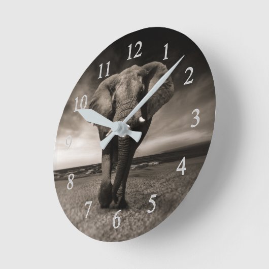 Elephant op strand ronde klok (Hoek)