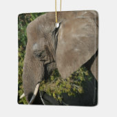 Elephant Ornament (Links)