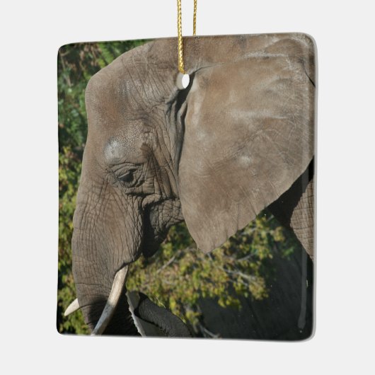 Elephant Ornament (Links)