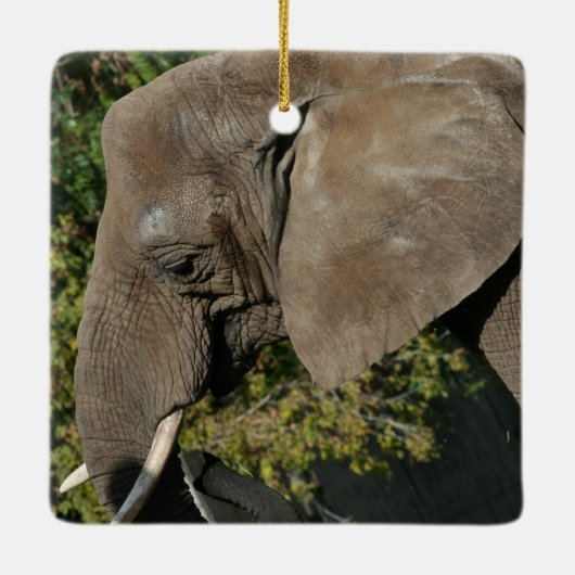 Elephant Ornament (Achterkant)