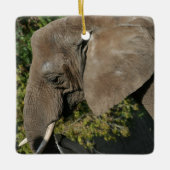Elephant Ornament (Voorkant)