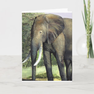 Elephant Painting Kaart